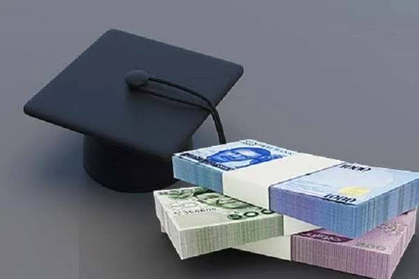 Nigerian Senate Approves Student Loans Act